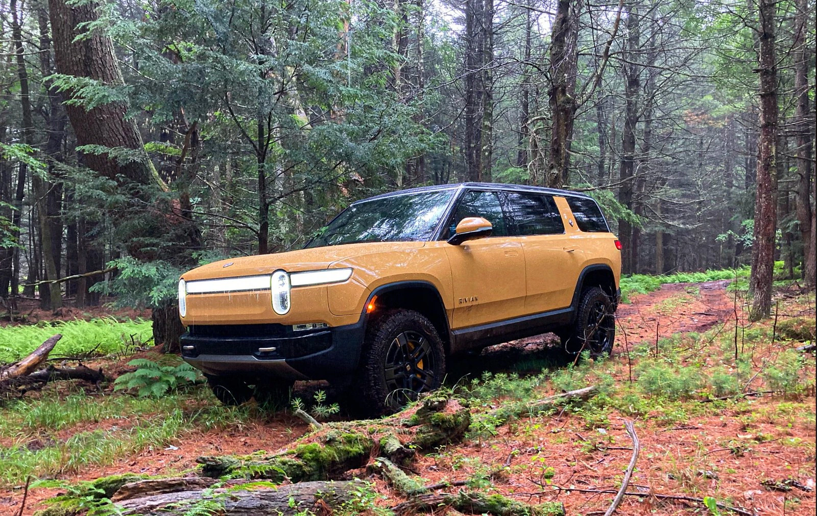 Yellow Rivian R1S in a dense forest.