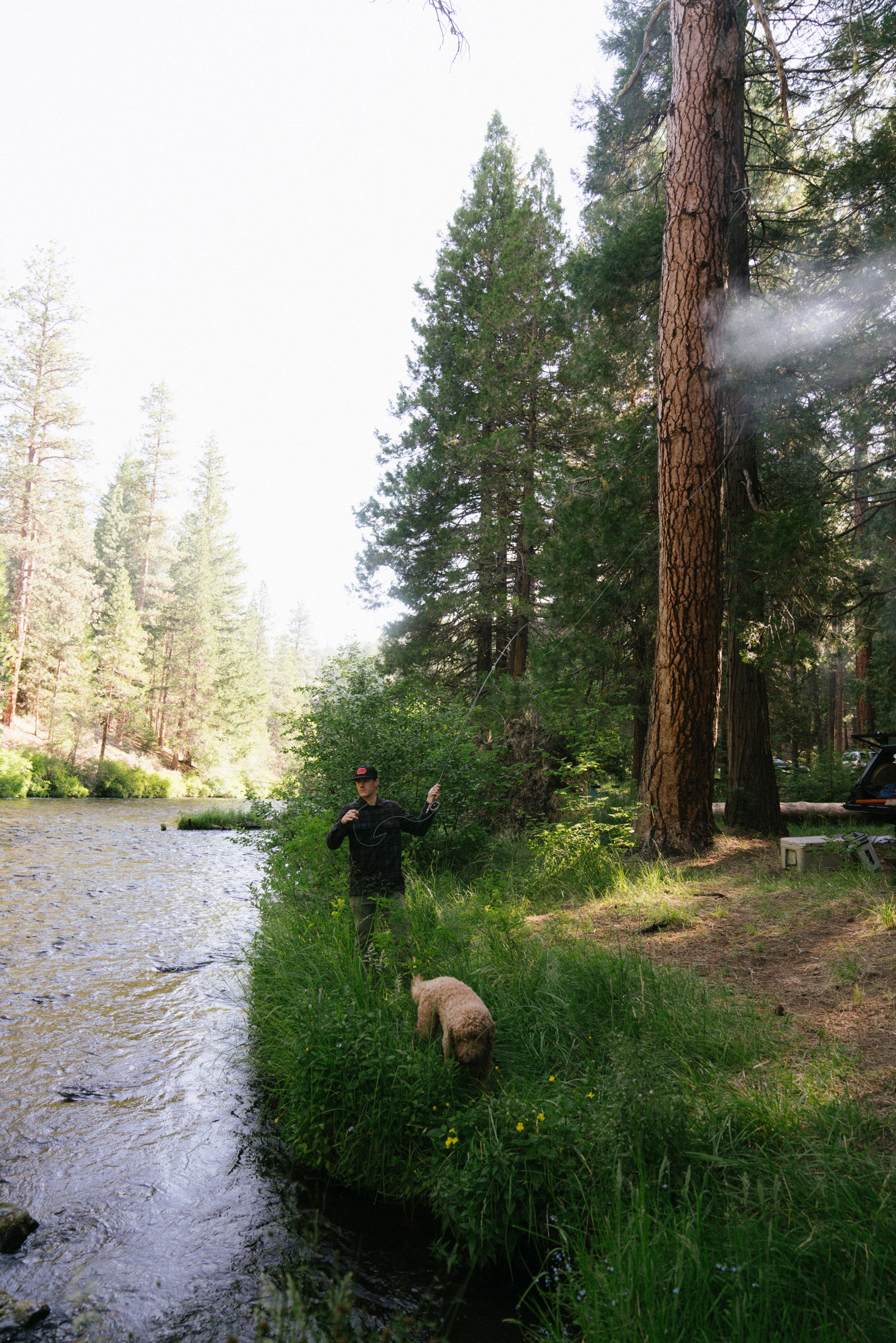 Field photography: Roads, forest and camp